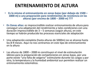 ENTRENAMIENTO DE ALTURA
• Es lo mismo el entrenamiento en zonas bajas (por debajo de 1500 –
1800 m) o una preparación para rendimientos de resistencia en las
alturas (por encima de 1800 – 2000 m) ???
• En Zonas altas: es imprescindible realizar entrenamiento de altura para
conseguir una adaptación del rendimiento a tales condiciones con una
duración imprescindible de 3 – 5 semanas (según altura), en este
tiempo se habrán producido los procesos esenciales de adaptación
• Una adaptación completa (hasta alturas de 5000m) no se alcanza hasta
los 8-9 meses. Aquí no nos centramos en este tipo de entrenamiento
en la altura
• Las alturas de 1800 – 2000 m constituyen el nivel de estimulación
idóneo para la preparación de competiciones en zonas bajas, por una
parte existe “una falta de oxigeno” estimulante durante las cargas y por
otra, la temperatura y la humedad ambiental aun permiten realizar un
entrenamiento sistemático.
 