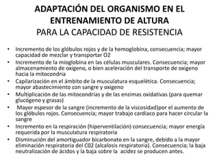 ADAPTACIÓN DEL ORGANISMO EN EL
ENTRENAMIENTO DE ALTURA
PARA LA CAPACIDAD DE RESISTENCIA
• Incremento de los glóbulos rojos y de la hemoglobina, consecuencia; mayor
capacidad de mezclar y transportar O2
• Incremento de la mioglobina en las células musculares. Consecuencia; mayor
almacenamiento de oxigeno, o bien aceleración del transporte de oxigeno
hacia la mitocondria
• Capilarización en el ámbito de la musculatura esquelética. Consecuencia;
mayor abastecimiento con sangre y oxigeno
• Multiplicación de las mitocondrias y de las enzimas oxidativas (para quemar
glucógeno y grasas)
• Mayor espesor de la sangre (incremento de la viscosidad)por el aumento de
los glóbulos rojos. Consecuencia; mayor trabajo cardiaco para hacer circular la
sangre
• Incremento en la respiración (hiperventilación) consecuencia; mayor energía
requerida por la musculatura respiratoria
• Disminución del amortiguador bicarbonato en la sangre, debido a la mayor
eliminación respiratoria del C02 (alcalosis respiratoria). Consecuencia; la baja
neutralización de ácidos y la baja sobre la acidez se producen antes.
 