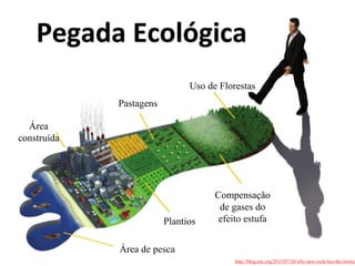 Pegada Ecológica
http://blog.tstc.org/2015/07/20/why-new-york-has-the-lowest
Uso de Florestas
Compensação
de gases do
efeito estufa
Pastagens
Plantios
Área
construída
Área de pesca
 