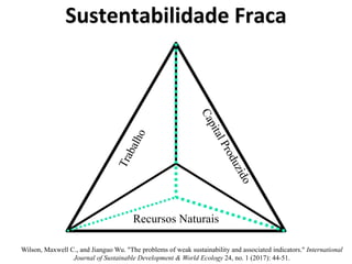 Sustentabilidade Fraca
Recursos Naturais
Wilson, Maxwell C., and Jianguo Wu. "The problems of weak sustainability and associated indicators." International
Journal of Sustainable Development & World Ecology 24, no. 1 (2017): 44-51.
 