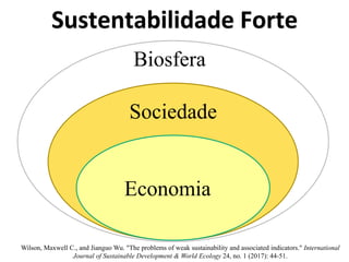 Sustentabilidade Forte
Biosfera
Sociedade
Economia
Wilson, Maxwell C., and Jianguo Wu. "The problems of weak sustainability and associated indicators." International
Journal of Sustainable Development & World Ecology 24, no. 1 (2017): 44-51.
 