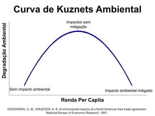 Curva de Kuznets Ambiental
DegradaçãoAmbiental
Renda Per Capita
Sem impacto ambiental Impacto ambiental mitigado
Impactos sem
mitigação
GROSSMAN, G. M.; KRUEGER, A. B. Environmental impacts of a North American free trade agreement.
National Bureau of Economic Research, 1991.
 