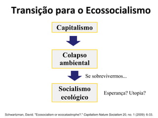 Transição para o Ecossocialismo
Capitalismo
Colapso
Socialismo
ecológico
Se sobrevivermos...
ambiental
Esperança? Utopia?
Schwartzman, David. "Ecosocialism or ecocatastrophe?." Capitalism Nature Socialism 20, no. 1 (2009): 6-33.
 