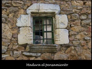 Madura el pensamiento
 