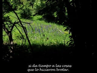 si da tiempo a las cosas
que lo hicieron brotar.
 