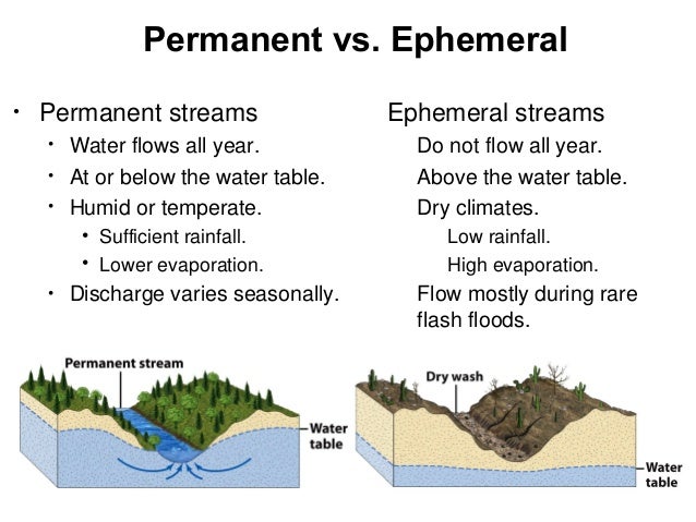 in the desert ephemeral streams in the desert ephemeral streams