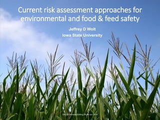 Current risk assessment approaches for
environmental and food & feed safety
Jeffrey D Wolt
Iowa State University
OECD Genome Editing 28-29 Jun 2018
 