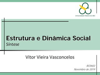 Estrutura e Dinâmica Social
Síntese
Vitor Vieira Vasconcelos
BC0602
Novembro de 2019
 