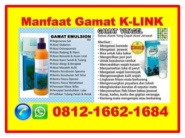 Berkualitas Jelly Gamat Luxor Produk K Link 0812 1662 1684 T Sel