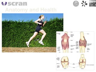  Set out in same format as Graphic NovelThe Lost ThingShow video – won OscarThe Lost Thing trailer