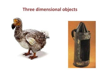 Three dimensional objectsitius.net
