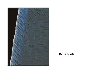 Interpreting the imageCaption 2:Entertainer Paul Robeson sings to labourers working at the racially integrated Moore Shipyards in Oakland, California on 21st September 1942.