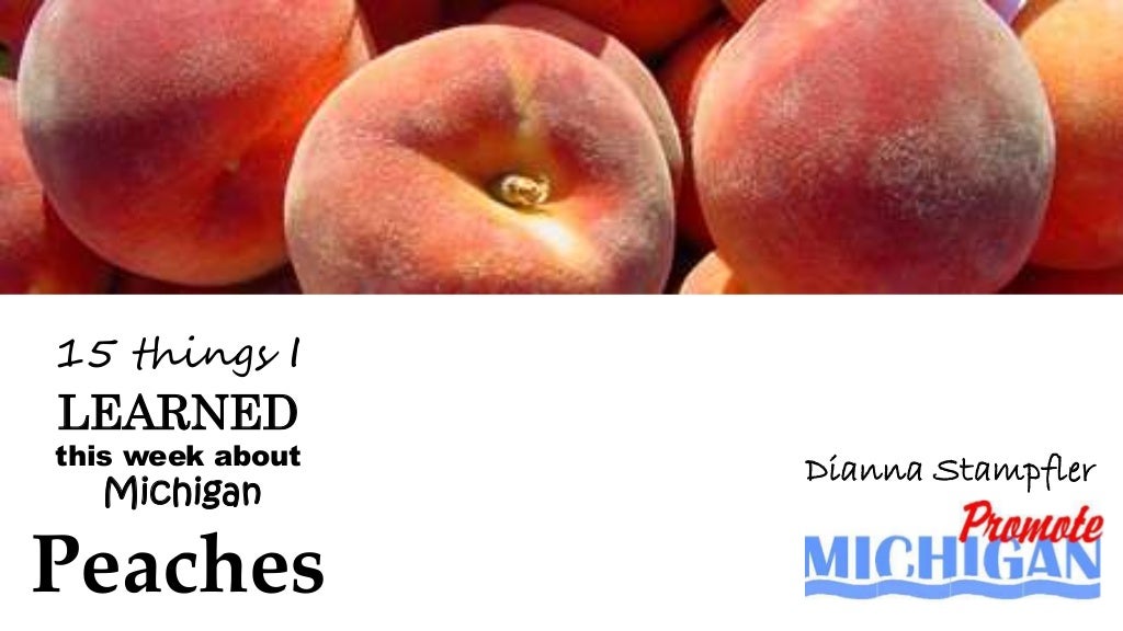 15 things I've learned this week about Michigan PEACHES