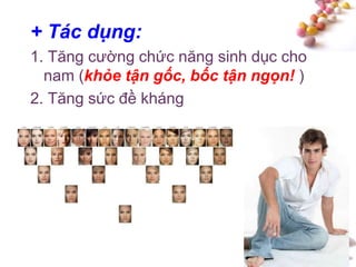 #
+ Tác dụng:
1. Tăng cường chức năng sinh dục cho
nam (khỏe tận gốc, bốc tận ngọn! )
2. Tăng sức đề kháng
 