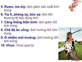 #
5. Rƣợu, ma túy: làm giảm sản xuất tinh
trùng
6. Tia X, phóng xạ, bức xạ: làm tổn
thương tế bào dòng tinh
7. Căng thẳng thần kinh: làm giảm SX
tinh trùng
8. Chế độ ăn uống: ảnh hưởng SX tinh
trùng
9. Ô nhiễm môi trƣờng: ảnh hưởng SX
tinh trùng
10. Virus: Virus quai bị
 