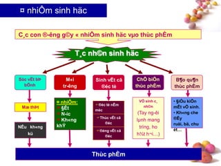 #
T¸c nh©n sinh häc
C¸c con ®-êng g©y « nhiÔm sinh häc vµo thùc phÈm
Sóc vËt bÞ
bÖnh
M«i
tr-êng
Sinh vËt cã
®éc tè
ChÕ biÕn
thùc phÈm
B¶o qu¶n
thùc phÈm
¤ nhiÔm:
§Êt
N-íc
Kh«ng
khÝ
Mæ thÞt
NÊu kh«ng
kü
®éng vËt cã
®éc
Thùc vËt cã
®éc
®éc tè nÊm
mèc
VÖ sinh c¸
nh©n
(Tay ng-êi
lµnh mang
trïng, ho
h¾t h¬i…)
• §iÒu kiÖn
mÊt vÖ sinh.
• Kh«ng che
®Ëy
ruåi, bä, chu
ét…
Thùc phÈm
¤ nhiÔm sinh häc
 