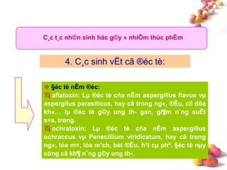#
C¸c t¸c nh©n sinh häc g©y « nhiÔm thùc phÈm
4. C¸c sinh vËt cã ®éc tè:
 §éc tè nÊm ®éc:
 aflatoxin: Lµ ®éc tè cña nÊm aspergillus flavus vµ
aspergilus parasiticus, hay cã trong ng«, ®Ëu, cïi dõa
kh«… lµ ®éc tè g©y ung th- gan, gi¶m n¨ng suÊt
s÷a, trøng.
 ochratoxin: Lµ ®éc tè cña nÊm aspergillus
ochraccus vµ Penecillium viridicatum, hay cã trong
ng«, lóa m×, lóa m¹ch, bét ®Ëu, h¹t cµ phª. §éc tè nµy
còng cã kh¶ n¨ng g©y ung th-.
 