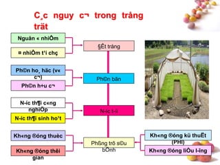 #
C¸c nguy c¬ trong trång
trät
Nguån « nhiÔm
¤ nhiÔm t¹i chç
§Êt trång
Ph©n h÷u c¬
Ph©n ho¸ häc (v«
c¬) Ph©n bãn
N-íc t-íi
N-íc th¶i sinh ho¹t
N-íc th¶i c«ng
nghiÖp
Kh«ng ®óng thuèc
Kh«ng ®óng thêi
gian
Phßng trõ s©u
bÖnh
Kh«ng ®óng kü thuËt
(PHI)
Kh«ng ®óng liÒu l-îng
 