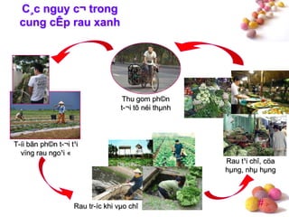 #
C¸c nguy c¬ trong
cung cÊp rau xanh
Thu gom ph©n
t-¬i tõ néi thµnh
T-íi bãn ph©n t-¬i t¹i
vïng rau ngo¹i «
Rau tr-íc khi vµo chî
Rau t¹i chî, cöa
hµng, nhµ hµng
 