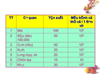 #
TT C¬ quan TÇn suÊt MÉu bÖnh cã
thÓ cã / 1 ®¬n
vÞ
1 Mòi 100 106
2 ®Çu (tãc)
100.000
50 105
3 C»m (r©u) 40 104
4 N¸ch 30 103
5 L«ng mµy, mi 20 102
6 Ch©n tay 10 10
7 Kh¸c 30 106
 