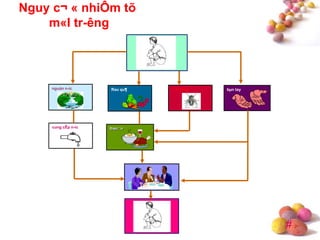 #
Nguy c¬ « nhiÔm tõ
m«I tr-êng
c«n trïng
thøc ¨n
nguån n-íc bµn tay
cung cÊp n-íc
Rau qu¶
 