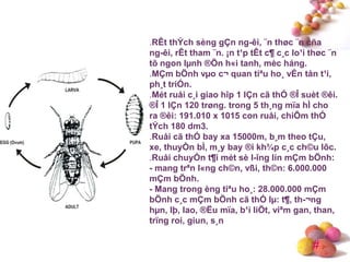 #
.RÊt thÝch sèng gÇn ng-êi, ¨n thøc ¨n cña
ng-êi, rÊt tham ¨n. ¡n t¹p tÊt c¶ c¸c lo¹i thøc ¨n
tõ ngon lµnh ®Õn h«i tanh, mèc háng.
.MÇm bÖnh vµo c¬ quan tiªu ho¸ vÉn tån t¹i,
ph¸t triÓn.
.Mét ruåi c¸i giao hîp 1 lÇn cã thÓ ®Î suèt ®êi.
®Î 1 lÇn 120 trøng. trong 5 th¸ng mïa hÌ cho
ra ®êi: 191.010 x 1015 con ruåi, chiÕm thÓ
tÝch 180 dm3.
.Ruåi cã thÓ bay xa 15000m, b¸m theo tÇu,
xe, thuyÒn bÌ, m¸y bay ®i kh¾p c¸c ch©u lôc.
.Ruåi chuyÓn t¶i mét sè l-îng lín mÇm bÖnh:
- mang trªn l«ng ch©n, vßi, th©n: 6.000.000
mÇm bÖnh.
- Mang trong èng tiªu ho¸: 28.000.000 mÇm
bÖnh c¸c mÇm bÖnh cã thÓ lµ: t¶, th-¬ng
hµn, lþ, lao, ®Ëu mïa, b¹i liÖt, viªm gan, than,
trïng roi, giun, s¸n
 