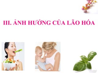 #
III. ẢNH HƢỞNG CỦA LÃO HÓA
 