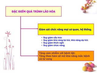 #
ĐẶC ĐIỂM QUÁ TRÌNH LÃO HÓA
Giảm sút chức năng mọi cơ quan, hệ thống.
Tăng cảm nhiễm với bệnh tật:
Tăng theo hàm số mũ khả năng mắc bệnh
và tử vong
• Suy giảm cấu trúc
• Suy giảm khả năng bù trừ, khả năng dự trữ.
• Suy giảm thích nghi
• Suy giảm chức năng.
 