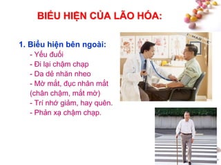 #
BIỂU HIỆN CỦA LÃO HÓA:
1. Biểu hiện bên ngoài:
- Yếu đuối
- Đi lại chậm chạp
- Da dẻ nhăn nheo
- Mờ mắt, đục nhân mắt
(chân chậm, mắt mờ)
- Trí nhớ giảm, hay quên.
- Phản xạ chậm chạp.
 
