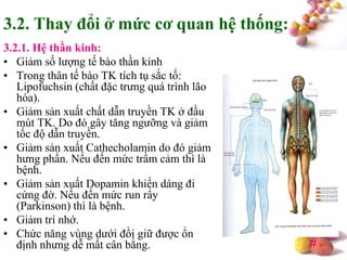 #
3.2. Thay đổi ở mức cơ quan hệ thống:
3.2.1. Hệ thần kinh:
• Giảm số lượng tế bào thần kinh
• Trong thân tế bào TK tích tụ sắc tố:
Lipofuchsin (chất đặc trưng quá trình lão
hóa).
• Giảm sản xuất chất dẫn truyền TK ở đầu
mút TK. Do đó gây tăng ngưỡng và giảm
tốc độ dẫn truyền.
• Giảm sản xuất Cathecholamin do đó giảm
hưng phấn. Nếu đến mức trầm cảm thì là
bệnh.
• Giảm sản xuất Dopamin khiến dáng đi
cứng đờ. Nếu đến mức run rẩy
(Parkinson) thì là bệnh.
• Giảm trí nhớ.
• Chức năng vùng dưới đồi giữ được ổn
định nhưng dễ mất cân bằng.
 