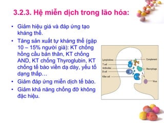#
3.2.3. Hệ miễn dịch trong lão hóa:
• Giảm hiệu giá và đáp ứng tạo
kháng thể.
• Tăng sản xuất tự kháng thể (gặp
10 – 15% người già): KT chống
hồng cầu bản thân, KT chống
AND, KT chống Thyroglubin, KT
chống tế bào viền dạ dày, yếu tố
dạng thấp…
• Giảm đáp ứng miễn dịch tế bào.
• Giảm khả năng chống đỡ không
đặc hiệu.
 