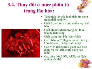 #
3.4. Thay đổi ở mức phân tử
trong lão hóa:
• Tăng tích lũy các loại phân tử trong
trạng thái bệnh lý:
- Chất Lipofuscin trong nhiều loại thế
bào.
- Chất Hemosiderin trong đại thực
bào hệ liên vòng.
- Chất dạng tinh bột (Amyloid)
• Các phân tử Collagen trở nên trơ, ỳ,
kém hòa tan, dễ bị co do nhiệt.
• Các Men (Enzyme): giảm dần hoạt
động và mất dần chức năng đặc
hiệu.
• Các biến đổi ADN, ARN, sai lệch
nhiễm sắc thể.
 