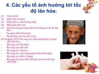 #
4. Các yếu tố ảnh hƣởng tới tốc
độ lão hóa:
(1) Tính cá thể.
(2) Điều kiện ăn uống
(3) Điều kiện ở, môi trường sống
(4) ĐIều kiện làm việc.
(5) Hai yếu tố quan trọng nhất ảnh hưởng tới tốc độ lão
hóa:
- Sự giảm thiểu Hormone.
- Sự phá hủy của các gốc tự do.
(6) Sử dụng TPCN bổ sung các chất dinh dưỡng và hoạt
chất sinh học:
- Bổ sung các Hormone
- Bổ sung các chất AO
- Bổ sung các Vitamin
- Bổ sung các chất Adaptogen (chất thích nghi).
- Bổ sung các chất vi lượng.
- Bổ sung các hoạt chất sinh học, amino acid, hợp
chất lipid…
 