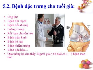 #
5.2. Bệnh đặc trƣng cho tuổi già:
• Ung thư
• Bệnh tim mạch
• Bệnh tiểu đường
• Loãng xương
• Rối loạn chuyển hóa
• Bệnh thần kinh
• Bệnh hô hấp
• Bệnh nhiễm trùng
• Bệnh tiêu hóa…
• Qua thống kê cho thấy: Người già ≥ 65 tuổi có 1 – 3 bệnh mạn
tính.
 