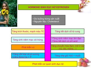 #
HORMONE SINH DỤC NỮ ESTROGEN
• Do buồng trứng sản xuất
• Nguyên liệu: Cholesterol
Tăng kích thước, mạch máu TC
Tăng sinh niêm mạc vòi trứng
Phát triển vú
Tăng tiết dịch cổ tử cung
Tăng chuyển hóa đạm, mỡ ở da
(vú, đùi, mông…)
•Tăng sinh niêm mạc âm đạo
•Tăng tiết dịch có pH acid
•Tăng cốt hóa và pt xương
•Lắng đọng Ca + P
Tăng nhẹ giữ H20 + muối
Phát triển cơ quan sinh dục nữ
 