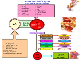#
SƠ ĐỒ: THUYẾT GỐC TỰ DO
(FREE RADICAL THEORY OF AGING)
Hàng rào
Bảo vệAO
FR
-Nguyên tử
-Phân tử
-Ion
e lẻ
đôi,
vòng
ngoài
1. Hệ thống men
2. Vitamin: A, E, C, B…
3. Chất khoáng
4. Hoạt chất sinh hóa:
(chè, đậu tương,
rau-củ-quả, dầu gan cá…)
5. Chất màu thực vật (Flavonoid)
1. Hô hấp
2. Ô nhiễm MT
3. Bức xạ mặt trời
4. Bức xạ ion
5. Thuốc
6. Chuyển hóa
FR
mới
Phản ứng
lão hóa
dây chuyền
Khả năng oxy hóa cao
Phân tử acid béo
Phân tử Protein
Vitamin
Gen
TB não
TB võng mạc
VXĐM
Biến đổi cấu trúc
Ức chế HĐ men
K
Parkinson
Mù
7. Vi khuẩn
8. Virus
9. KST
10. Mỡ thực phẩm
11. Các tổn thương
12. Stress.
 