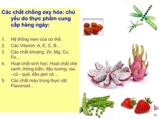 #
Các chất chống oxy hóa: chủ
yếu do thực phẩm cung
cấp hàng ngày:
1. Hệ thống men của cơ thể.
2. Các Vitamin: A, E, C, B…
3. Các chất khoáng: Zn, Mg, Cu,
Fe…
4. Hoạt chất sinh học: Hoạt chất chè
xanh, thông biển, đậu tương, rau
- củ - quả, dầu gan cá…
5. Các chất màu trong thực vật:
Flavonoid…
 
