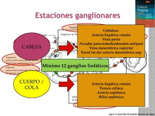 Tratamiento quirúrgico del cáncer de pancreas | PPTX