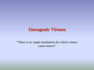 Oncogenic Viruses
“There is no single mechanism by which viruses
cause tumors”
 