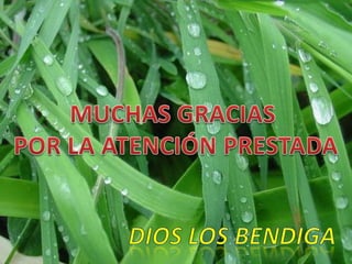 15 va.sesión.presentación.mara