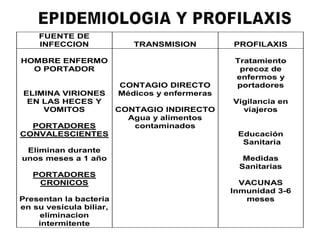 FUENTE DE
INFECCION TRANSMISION PROFILAXIS
HOMBRE ENFERMO
O PORTADOR
ELIMINA VIRIONES
EN LAS HECES Y
VOMITOS
PORTADORES
CONVALESCIENTES
Eliminan durante
unos meses a 1 año
PORTADORES
CRONICOS
Presentan la bacteria
en su vesícula biliar,
eliminacion
intermitente
CONTAGIO DIRECTO
Médicos y enfermeras
CONTAGIO INDIRECTO
Agua y alimentos
contaminados
Tratamiento
precoz de
enfermos y
portadores
Vigilancia en
viajeros
Educación
Sanitaria
Medidas
Sanitarias
VACUNAS
Inmunidad 3-6
meses
 