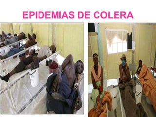 EPIDEMIAS DE COLERA
 