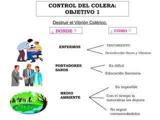 CONTROL DEL COLERA:
OBJETIVO 1
¿ DONDE ? ¿ COMO ?
ENFERMOS
PORTADORES
SANOS
MEDIO
AMBIENTE
TRATAMIENTO
Desinfección Heces y Vómitos
Es difícil
Educación Sanitaria
Es imposible
Con el tiempo la
naturaleza los depura
No seguir
contaminándolos
Destruir el Vibrión Colérico.
 