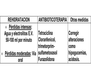 REHIDRATACION ANTIBIOTICOTERAPIA Otrasmedidas
♦ Pérdidasintensas:
AguayelectrolitosE.V.
50-100mlporminuto
♦ Pérdidasmoderadas:Vía
oral
Tetraciclina
Cloranfenicol,
trimetorprim-
sulfametoxasol
Furazolidona
Corregir
alteraciones
como
hipogucemias,
acidosis.
 