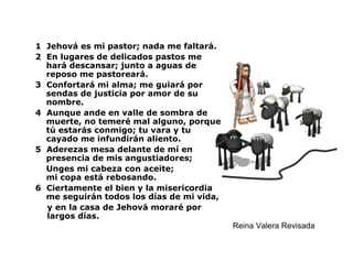 1 Jehová es mi pastor; nada me faltará.
2 En lugares de delicados pastos me
  hará descansar; junto a aguas de
  reposo me pastoreará.
3 Confortará mi alma; me guiará por
  sendas de justicia por amor de su
  nombre.
4 Aunque ande en valle de sombra de
  muerte, no temeré mal alguno, porque
  tú estarás conmigo; tu vara y tu
  cayado me infundirán aliento.
5 Aderezas mesa delante de mí en
  presencia de mis angustiadores;
  Unges mi cabeza con aceite;
  mi copa está rebosando.
6 Ciertamente el bien y la misericordia
  me seguirán todos los días de mi vida,
  y en la casa de Jehová moraré por
  largos días.
                                           Reina Valera Revisada
 