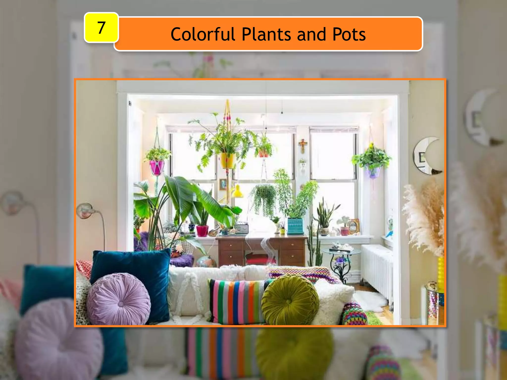 Colorful Plants and Pots7
 