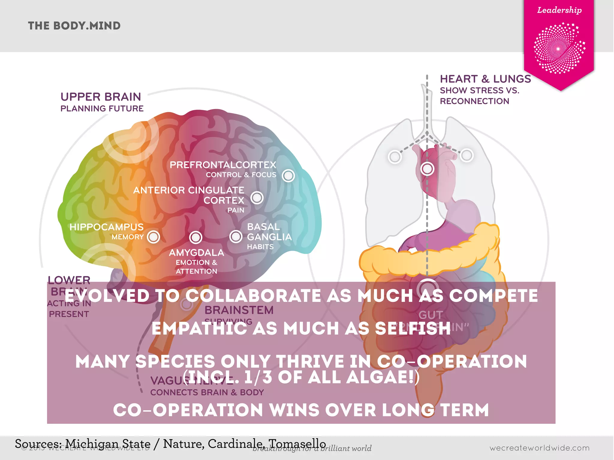 wecreateworldwide.combreakthrough for a brilliant world© 2013 WECREATE WORLDWIDE LTD
Leadership
the body.mind
PREFRONTALCORTEX
CONTROL & FOCUS
ANTERIOR CINGULATE
CORTEX
PAIN
BASAL
GANGLIA
HABITS
AMYGDALA
EMOTION &
ATTENTION
HIPPOCAMPUS
MEMORY
BRAINSTEM
SURVIVING
VAGUS NERVE
CONNECTS BRAIN & BODY
LOWER
BRAIN
ACTING IN
PRESENT GUT
“2ND BRAIN”
HEART & LUNGS
SHOW STRESS VS.
RECONNECTIONUPPER BRAIN
PLANNING FUTURE
Leadership
Sources: Michigan State / Nature, Cardinale, Tomasello
evolved TO COLLABORATE AS MUCH AS COMPETE
EMPATHIC AS MUCH AS SELFISH
MANY SPECIES ONLY THRIVE in CO-operation
(incl. 1/3 of all algae!)
co-operation wins over long term
 