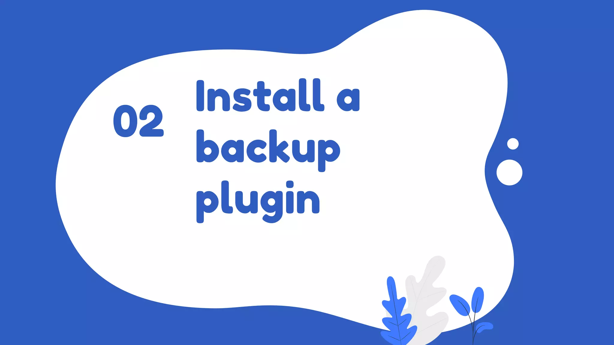Install a
backup
plugin
02
 