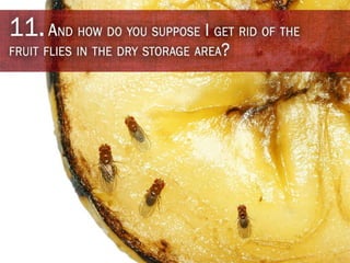 15 Worn Out Excuses Heard by Health Inspectors