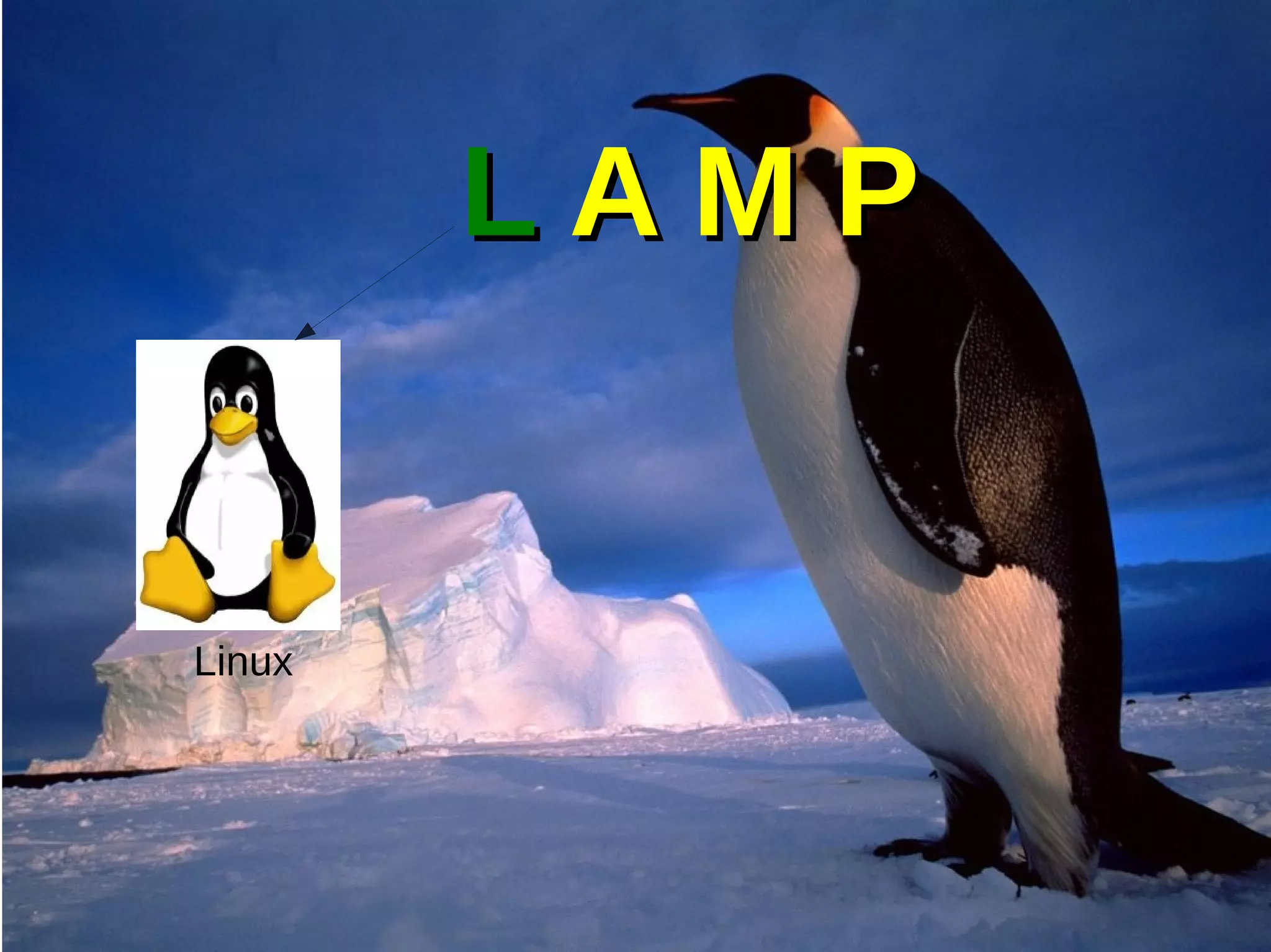 LL A M PA M P
Linux
 